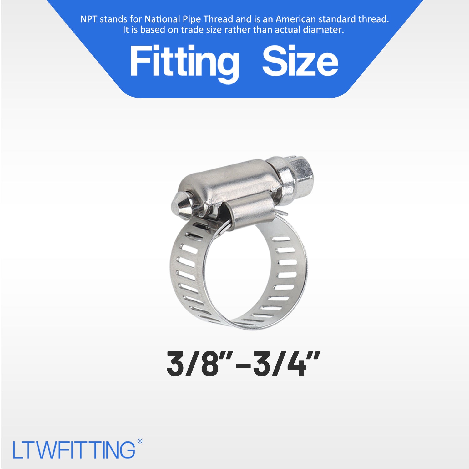 LTWFITTING 11-20mm Stainless Steel 316 Hose Clamp, Adjustable Worm Gear Clamps for Automotive Radiator Fuel Line Plumbing Intercooler and Mechanical Applications (Pack of 250)